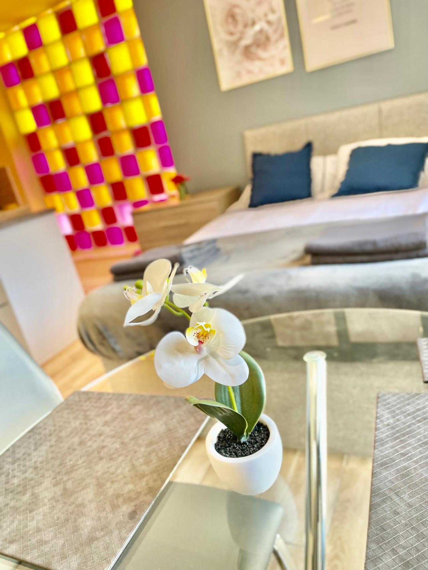 Cambridge City Centre Immaculate Studio Sleeps 2 - Central Location Paradise Street Eksteriør billede